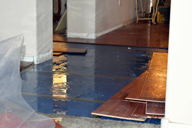 Professional Basement Flood Cleanup technician working in Lomira, WI